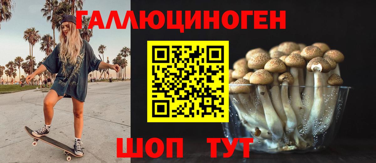 Псилоцибиновые грибы Cubensis Кизляр