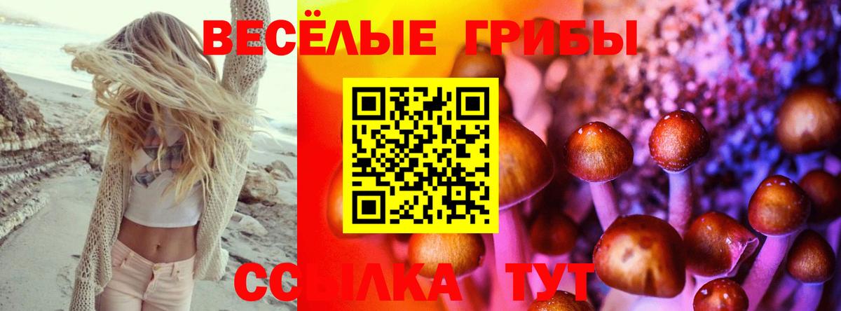 Псилоцибиновые грибы мицелий  Вход с VPN  Кизляр 